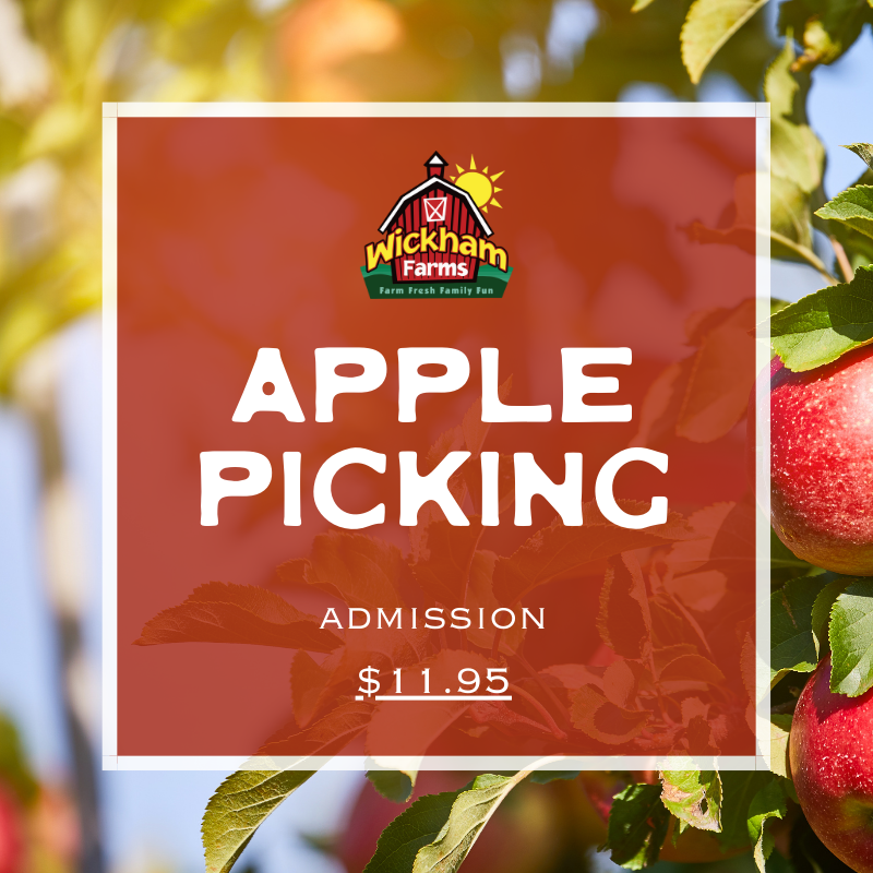 FALL FESTIVAL TICKETS