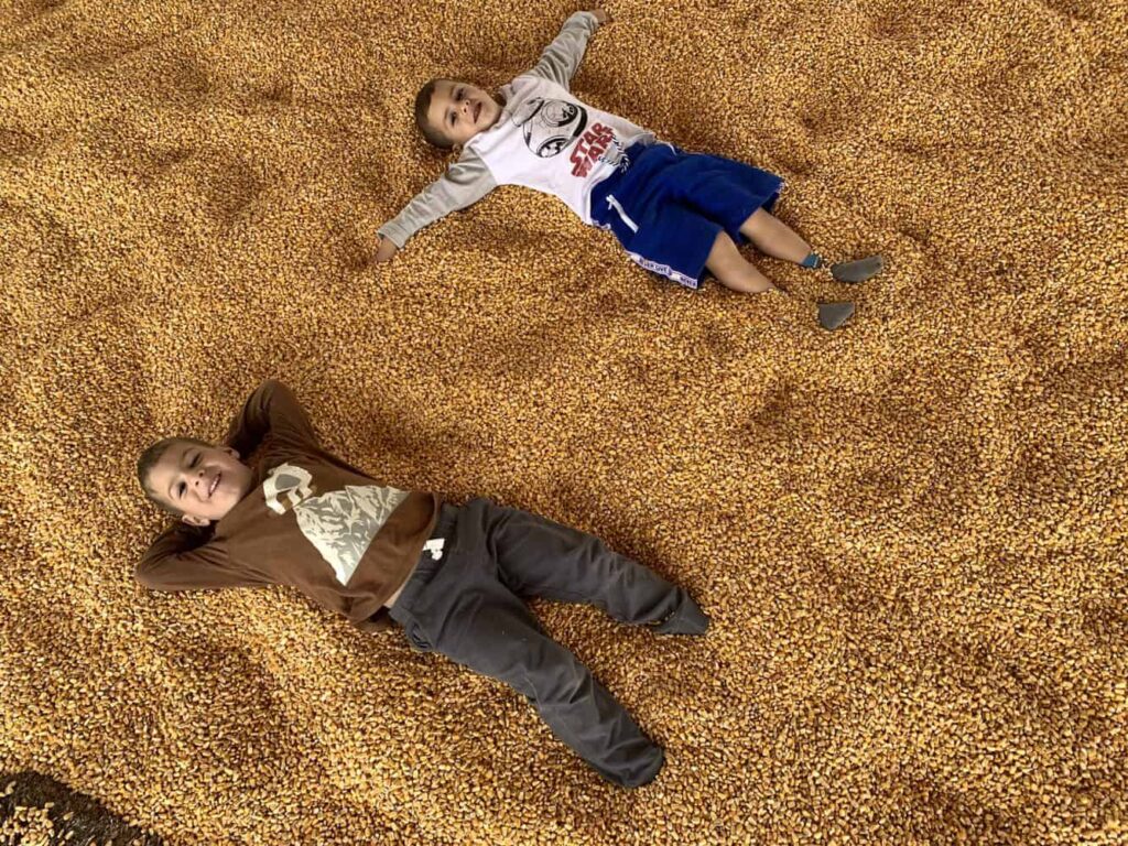 Banner Image