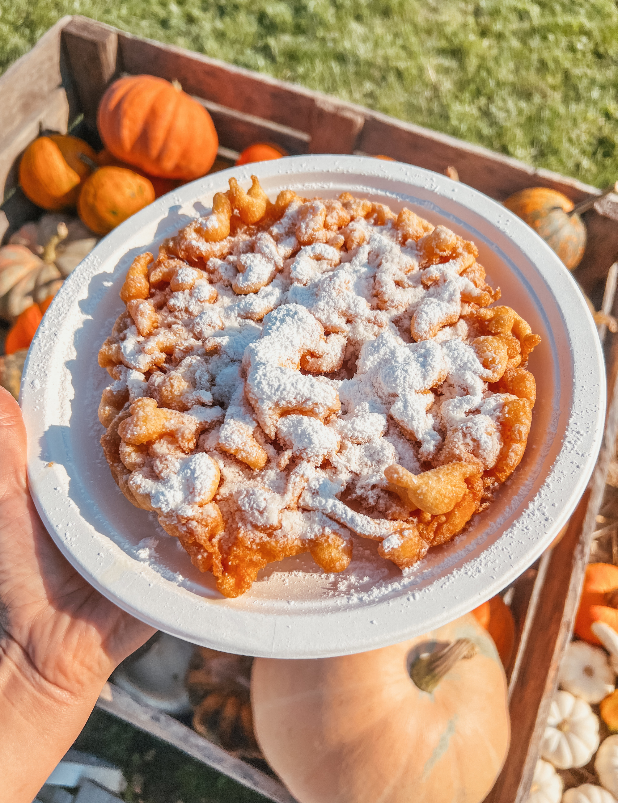 FALL FOOD