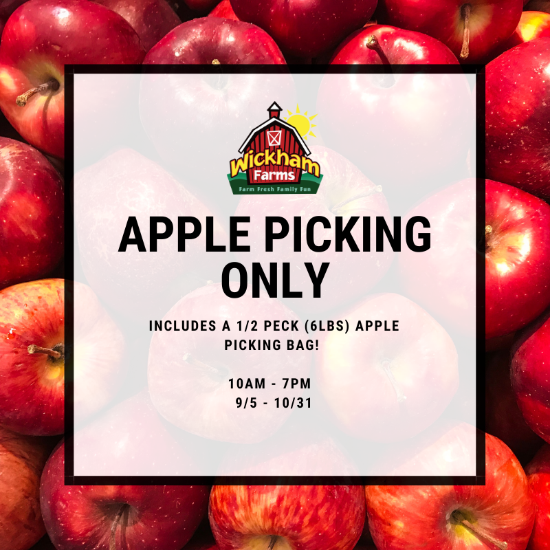 Fall Harvest - Apple Picking Only Admission