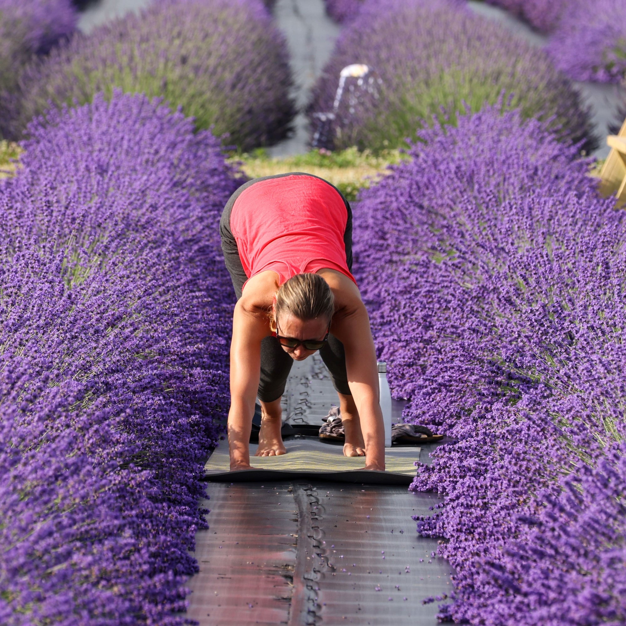 YOGA IN THE FLOWER FIELD