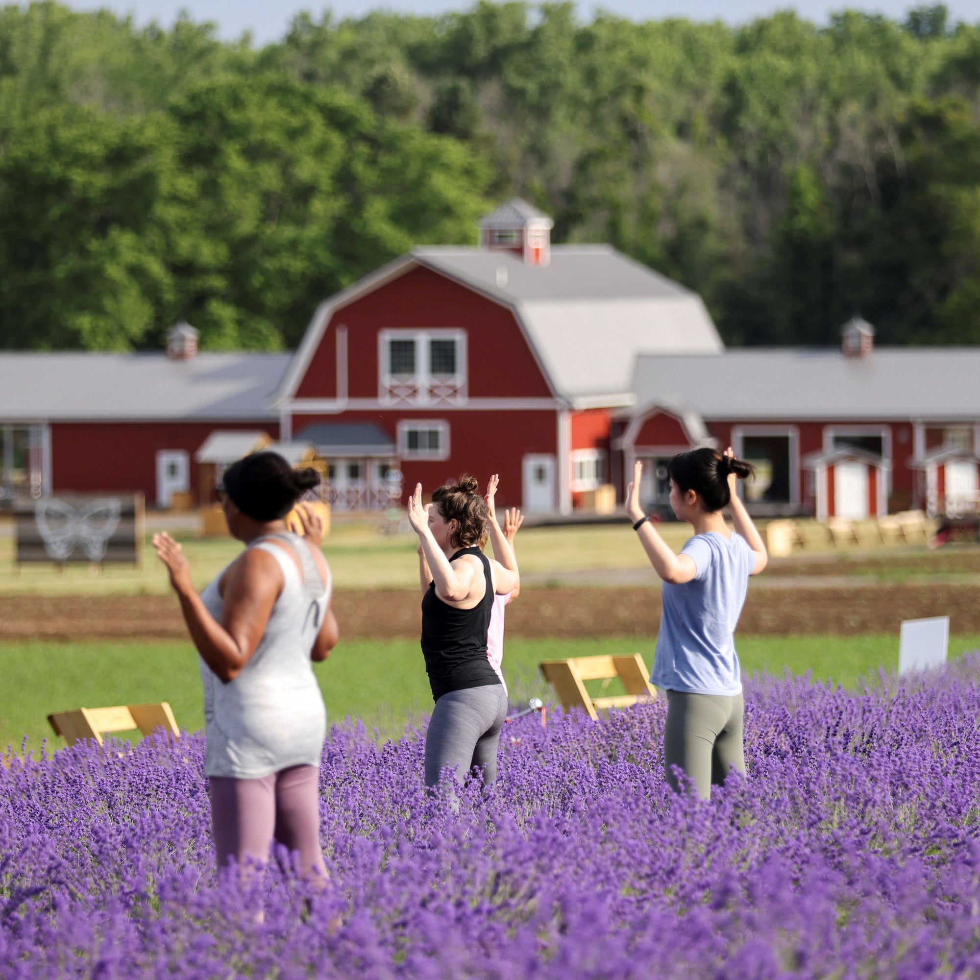 YOGA IN THE FLOWER FIELD