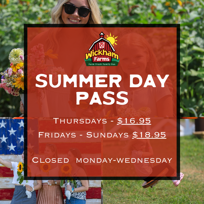SUMMER DAY PASS (JUNE 19 - AUGUST 11)