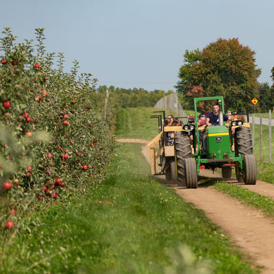 Fall Harvest - Apple Picking Only Admission