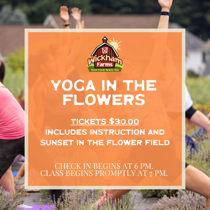 YOGA IN THE FLOWER FIELDS