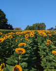 pxl-20230901-130051314_E5Ft.jpg